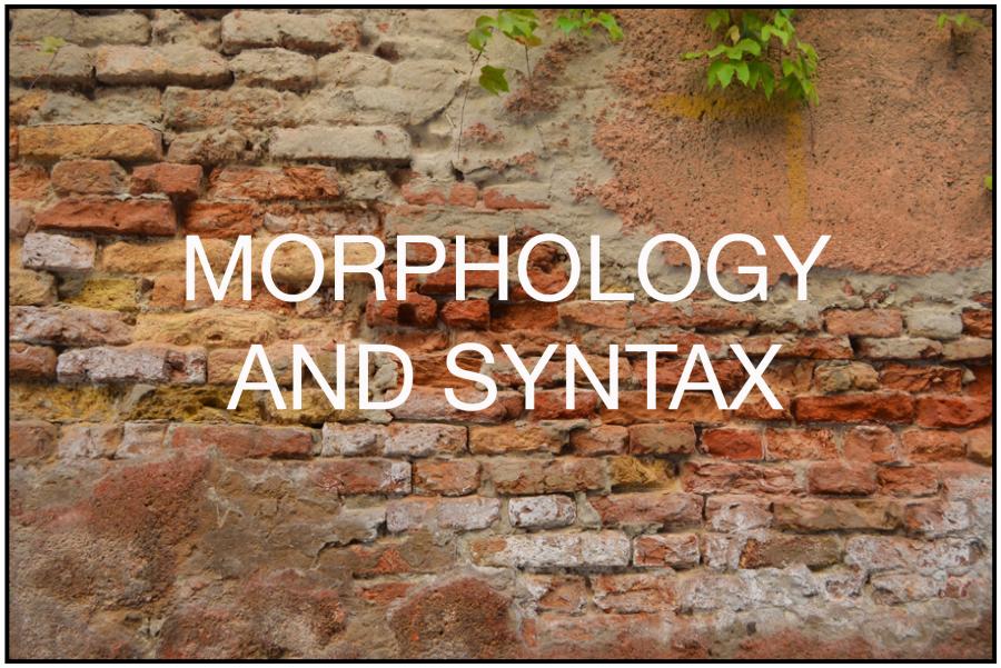 Morphology and Syntax Linguistics